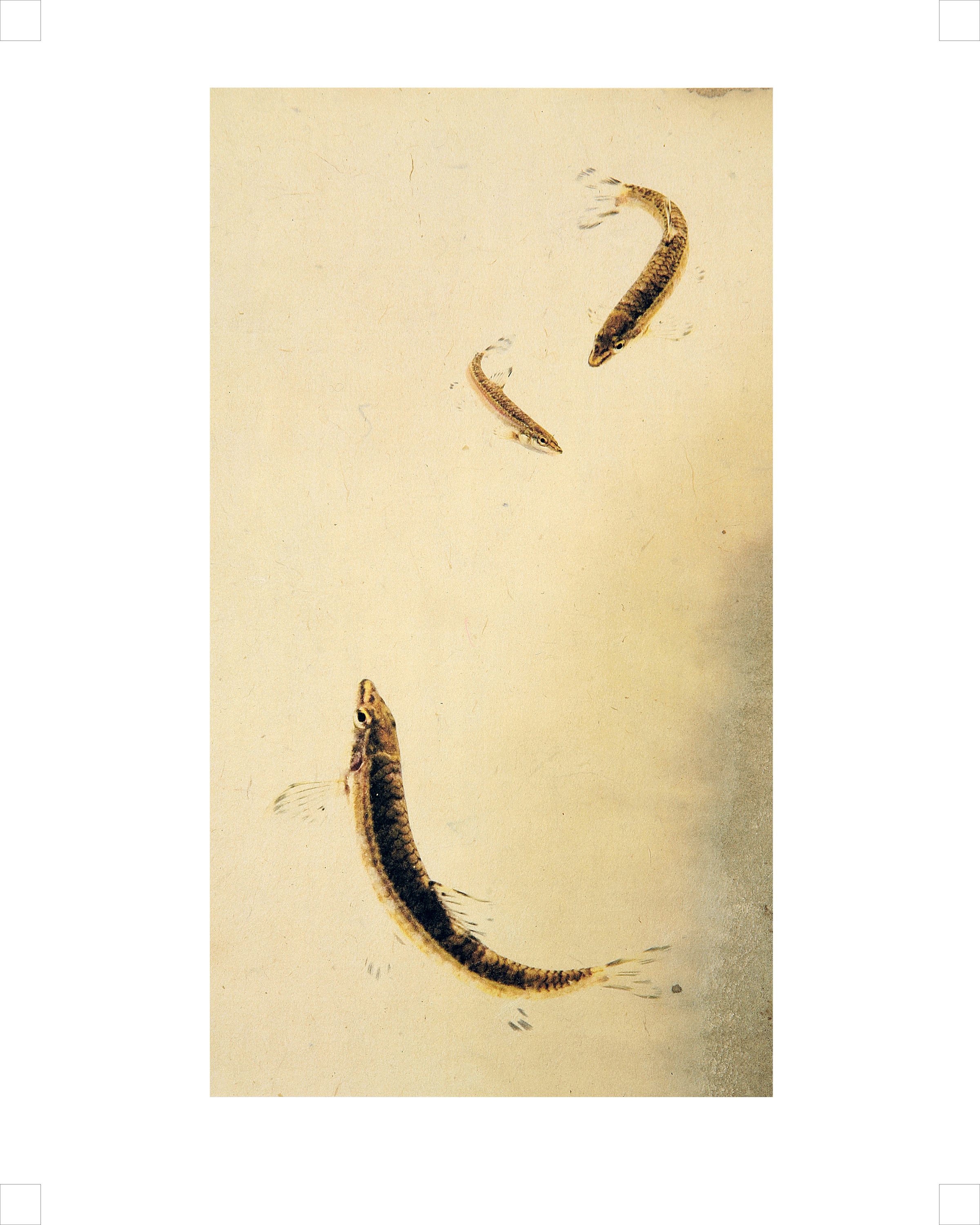 	金信旭Kim ShinWook